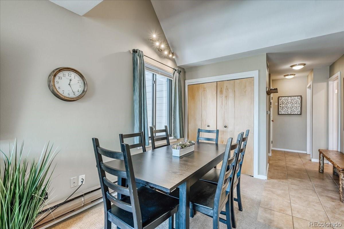 MLS Image #9 for 165  argentine court,keystone, Colorado