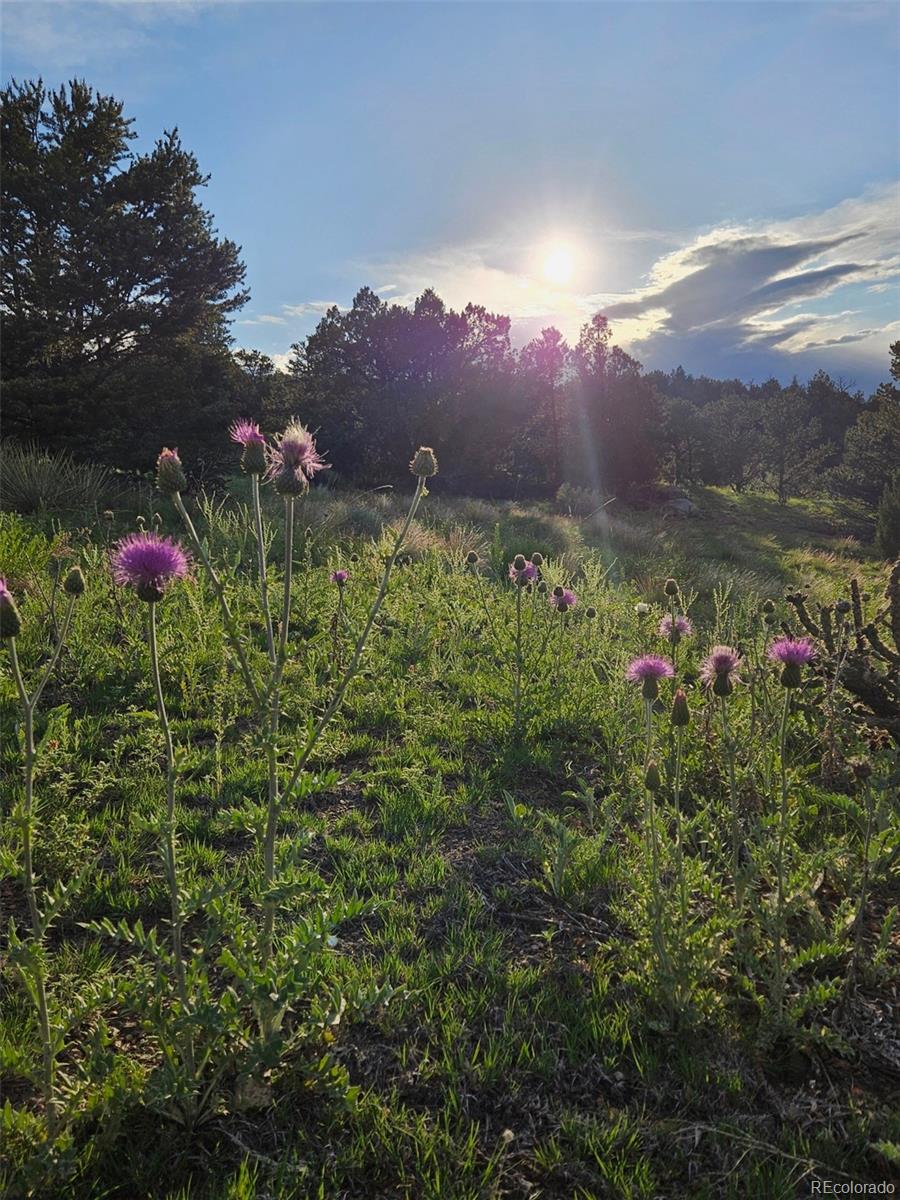 MLS Image #48 for 490  cactus drive,canon city, Colorado