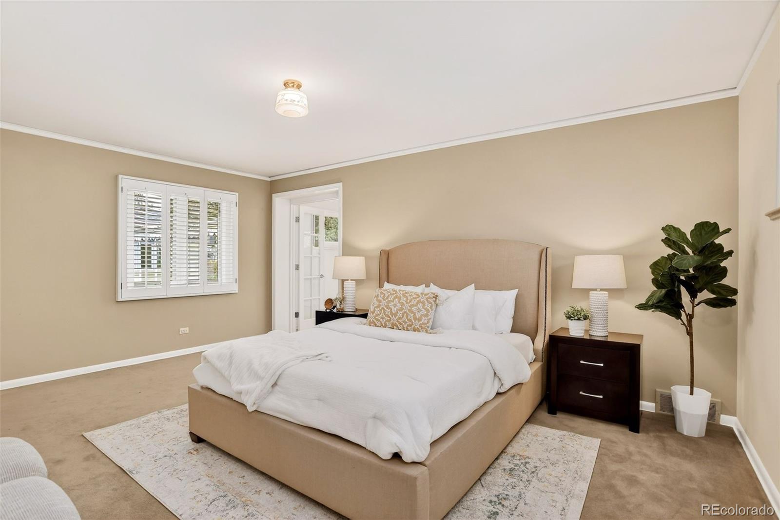 MLS Image #22 for 245  locust lane,denver, Colorado