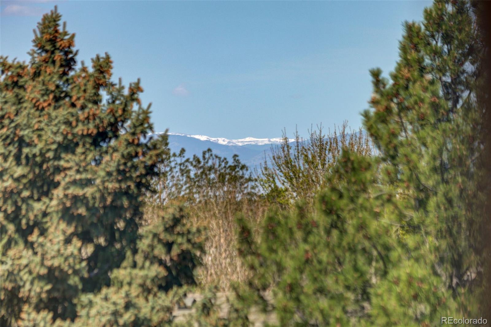MLS Image #39 for 2901 s tower way,aurora, Colorado