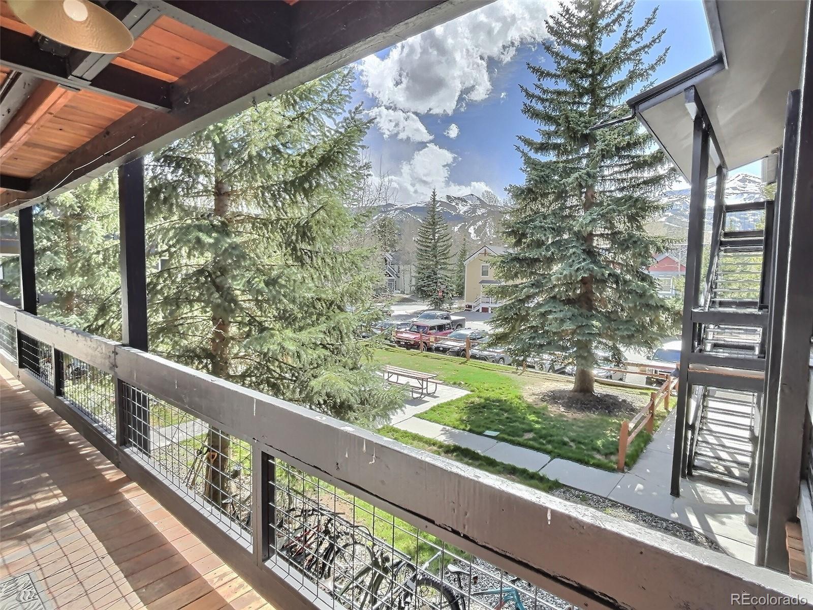 MLS Image #1 for 214 s harris street 209,breckenridge, Colorado