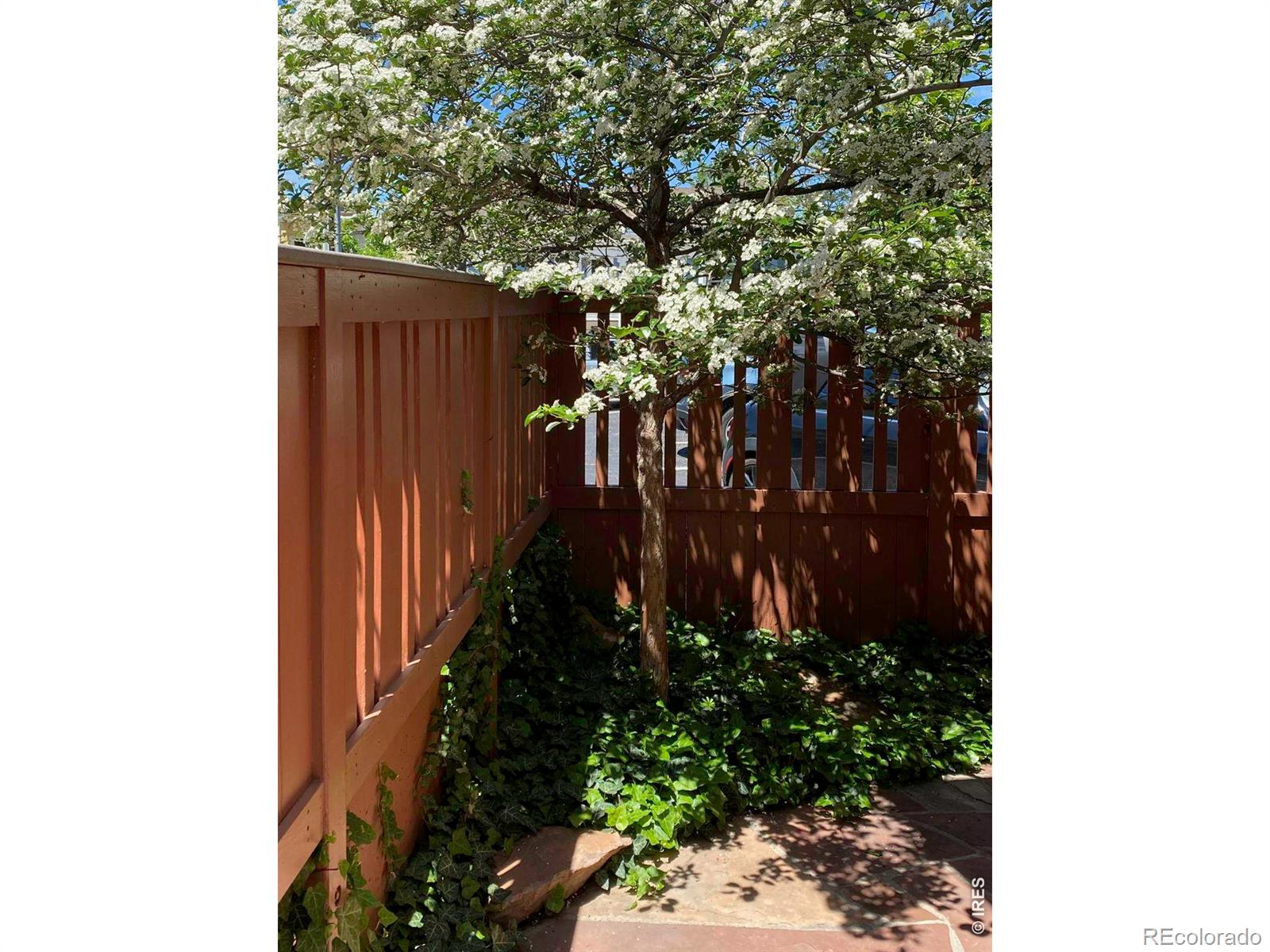 MLS Image #26 for 2463  broadway street,boulder, Colorado