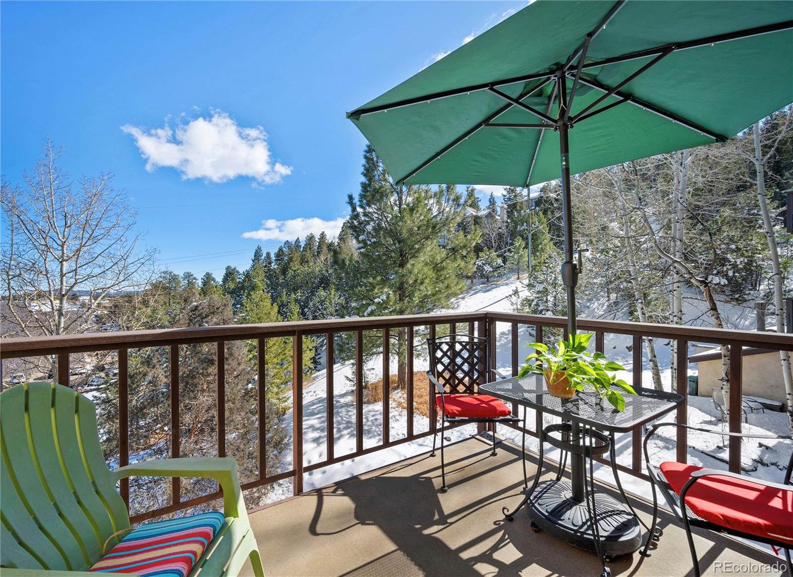 MLS Image #4 for 31270  john wallace road,evergreen, Colorado