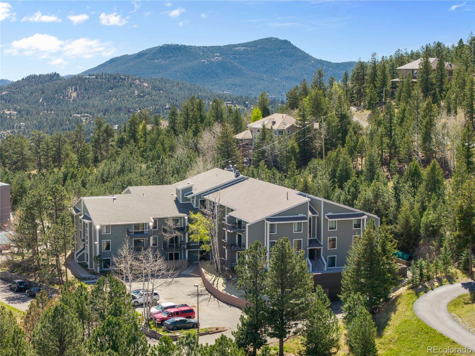 MLS Image #5 for 31270  john wallace road,evergreen, Colorado