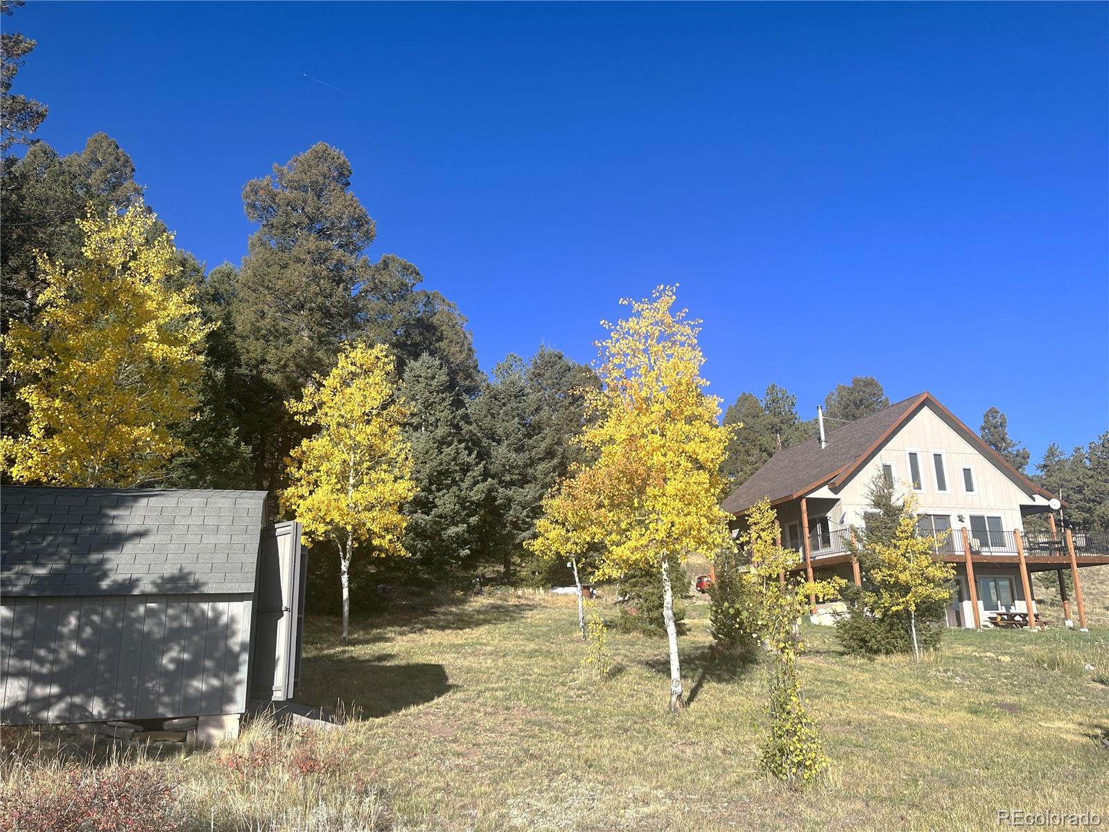 MLS Image #0 for 1007  hereford drive,hartsel, Colorado