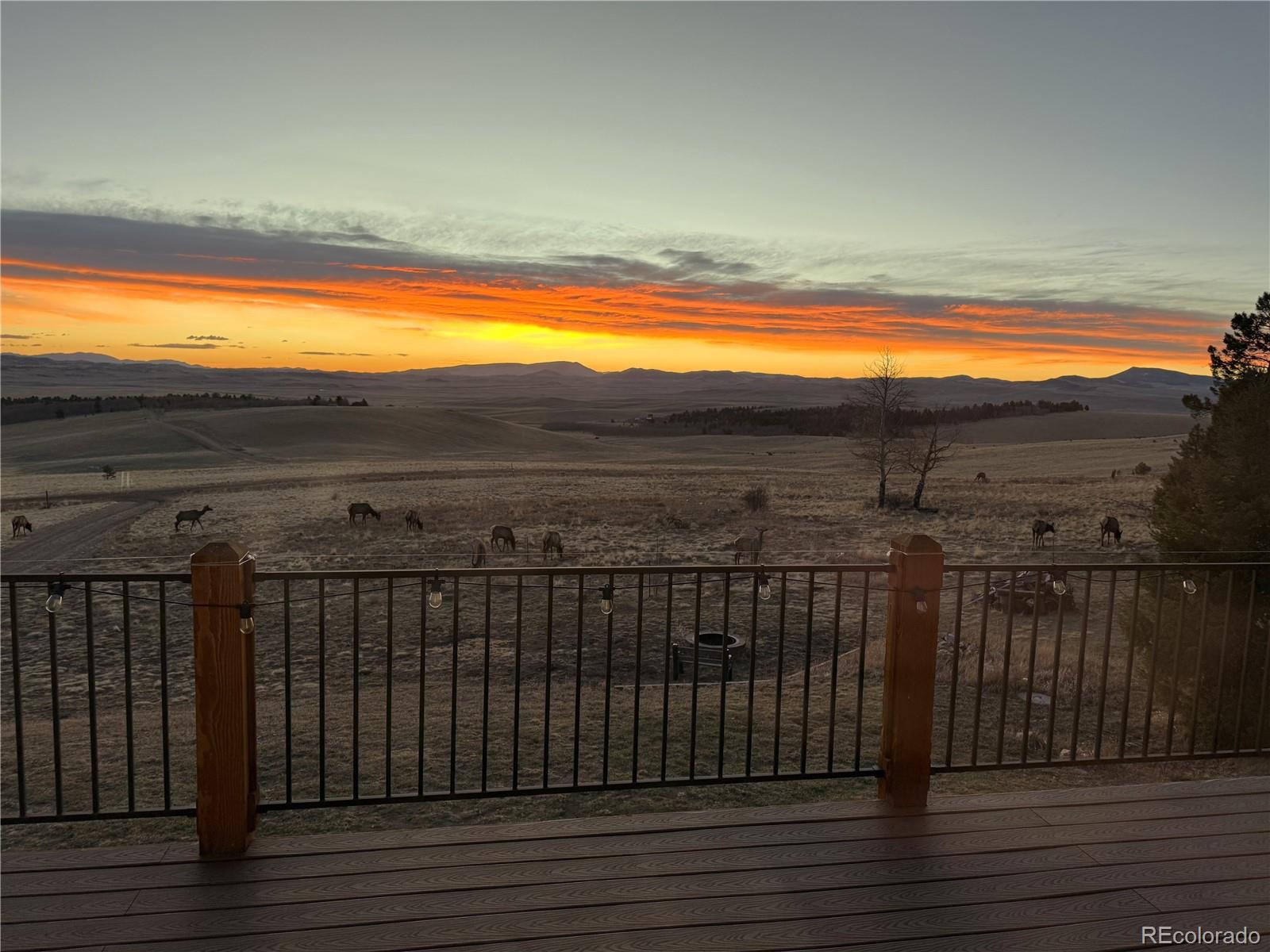 MLS Image #1 for 1007  hereford drive,hartsel, Colorado