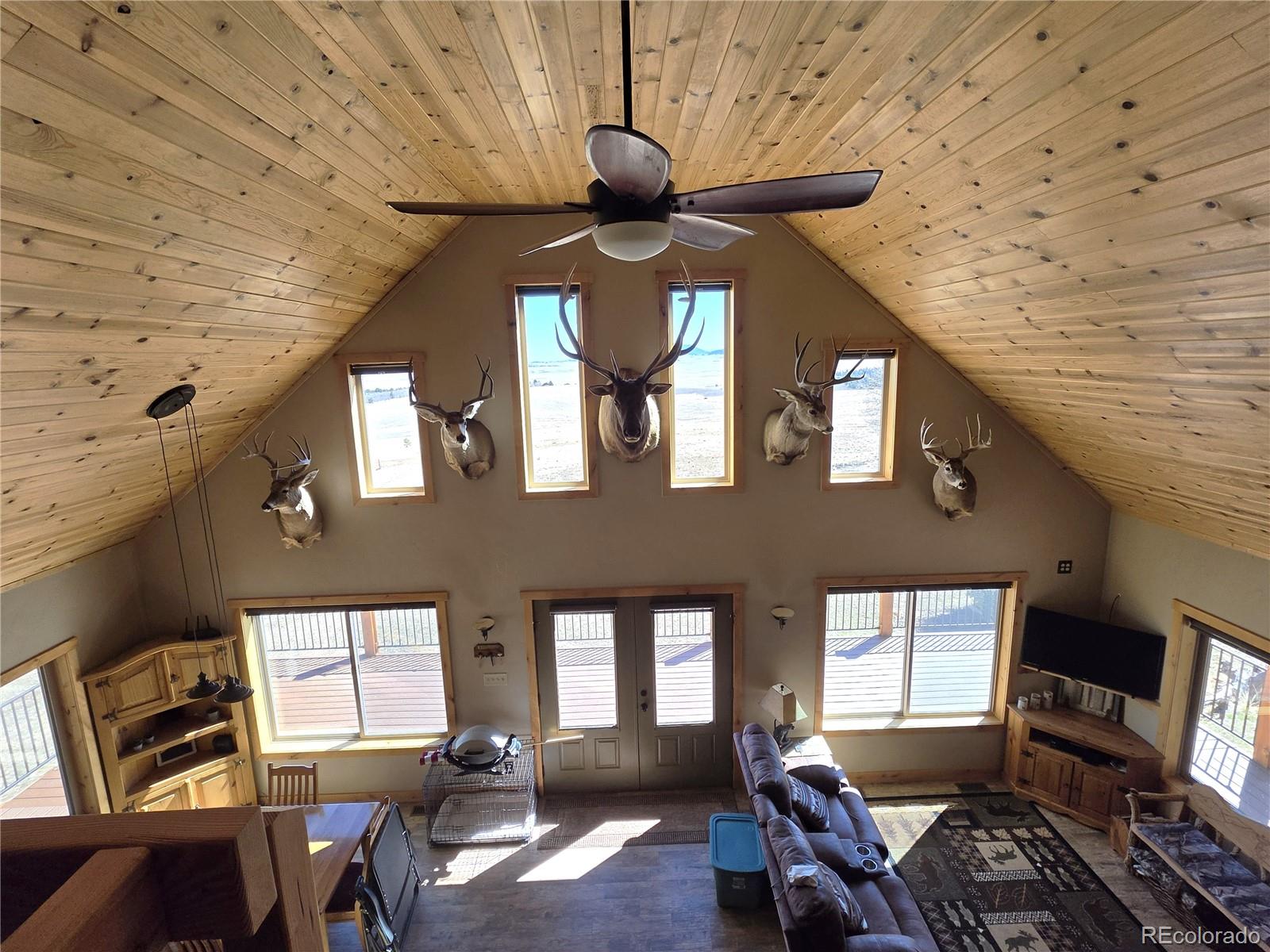 MLS Image #10 for 1007  hereford drive,hartsel, Colorado