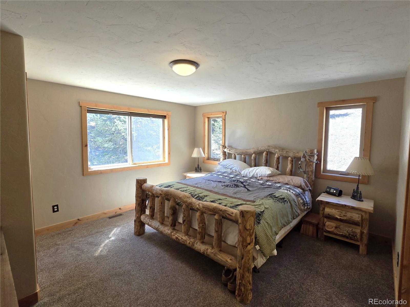 MLS Image #13 for 1007  hereford drive,hartsel, Colorado