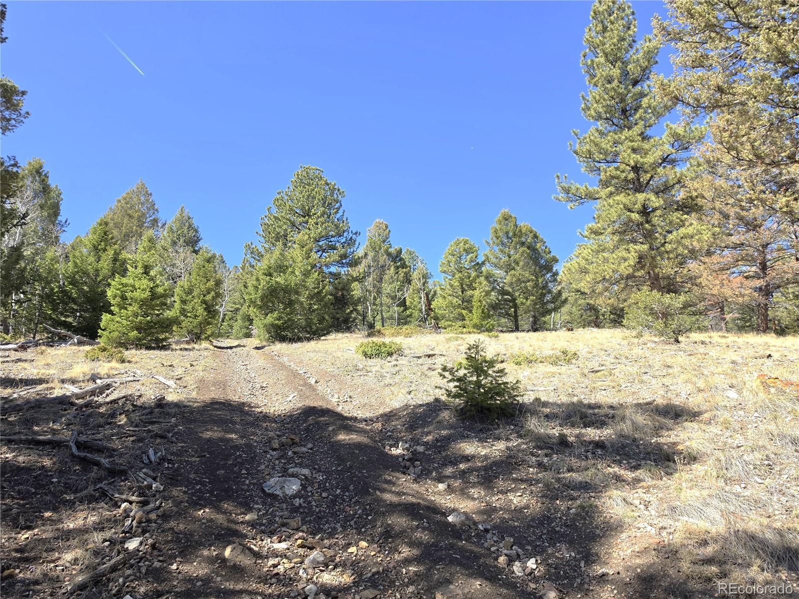 MLS Image #18 for 1007  hereford drive,hartsel, Colorado