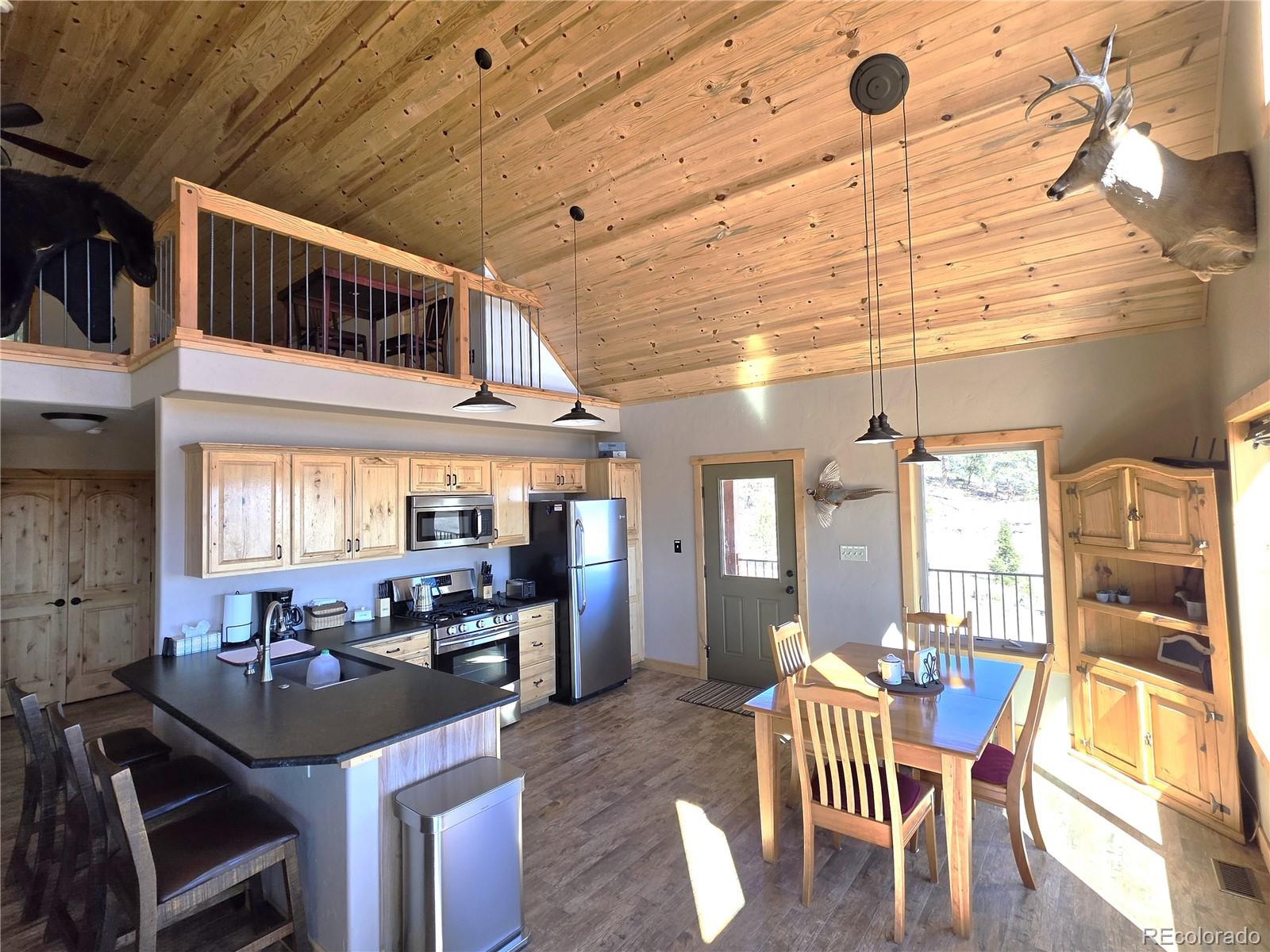 MLS Image #5 for 1007  hereford drive,hartsel, Colorado