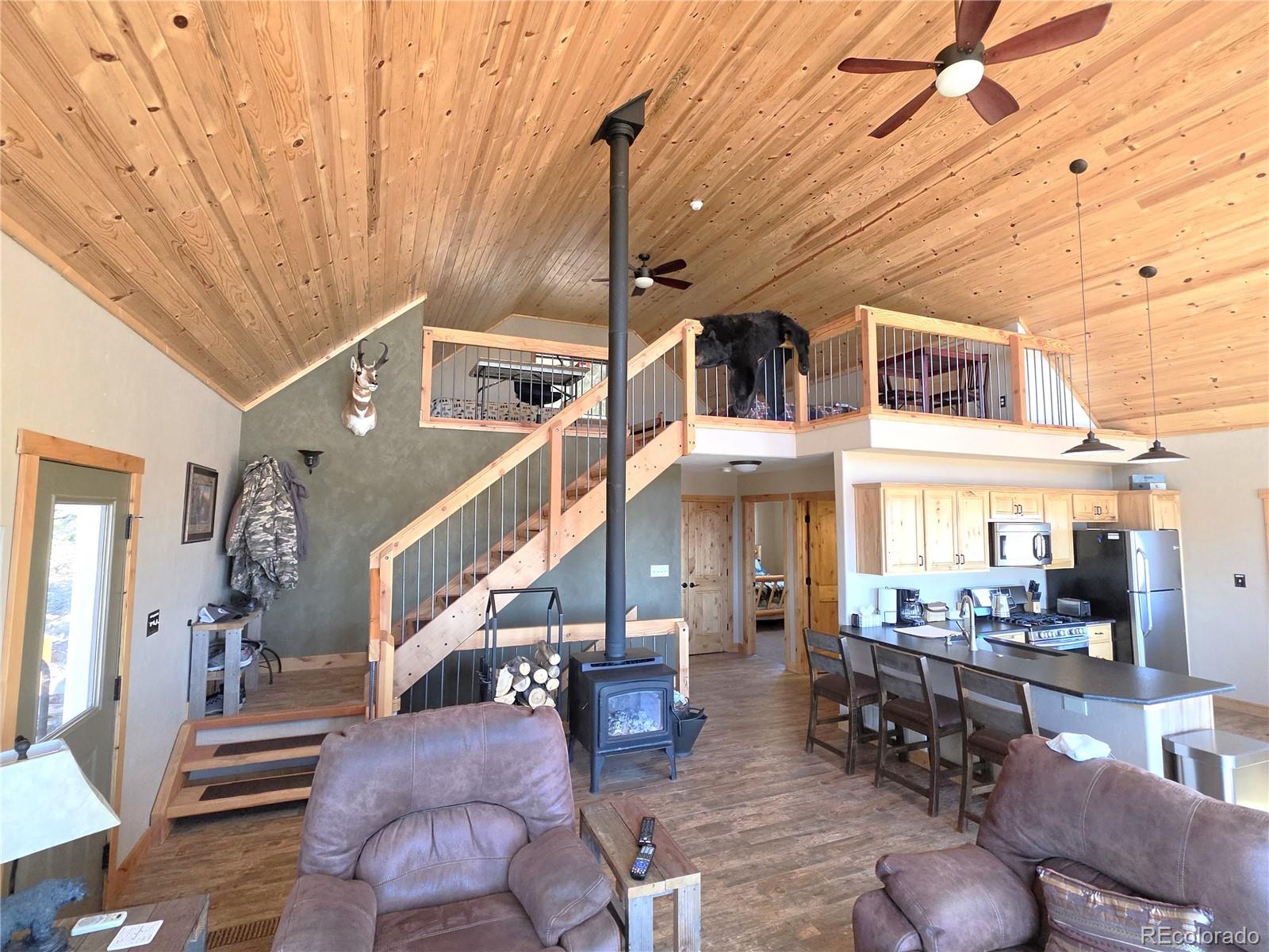 MLS Image #6 for 1007  hereford drive,hartsel, Colorado