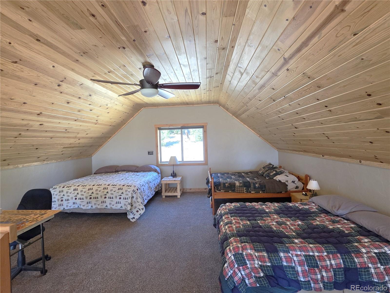 MLS Image #8 for 1007  hereford drive,hartsel, Colorado