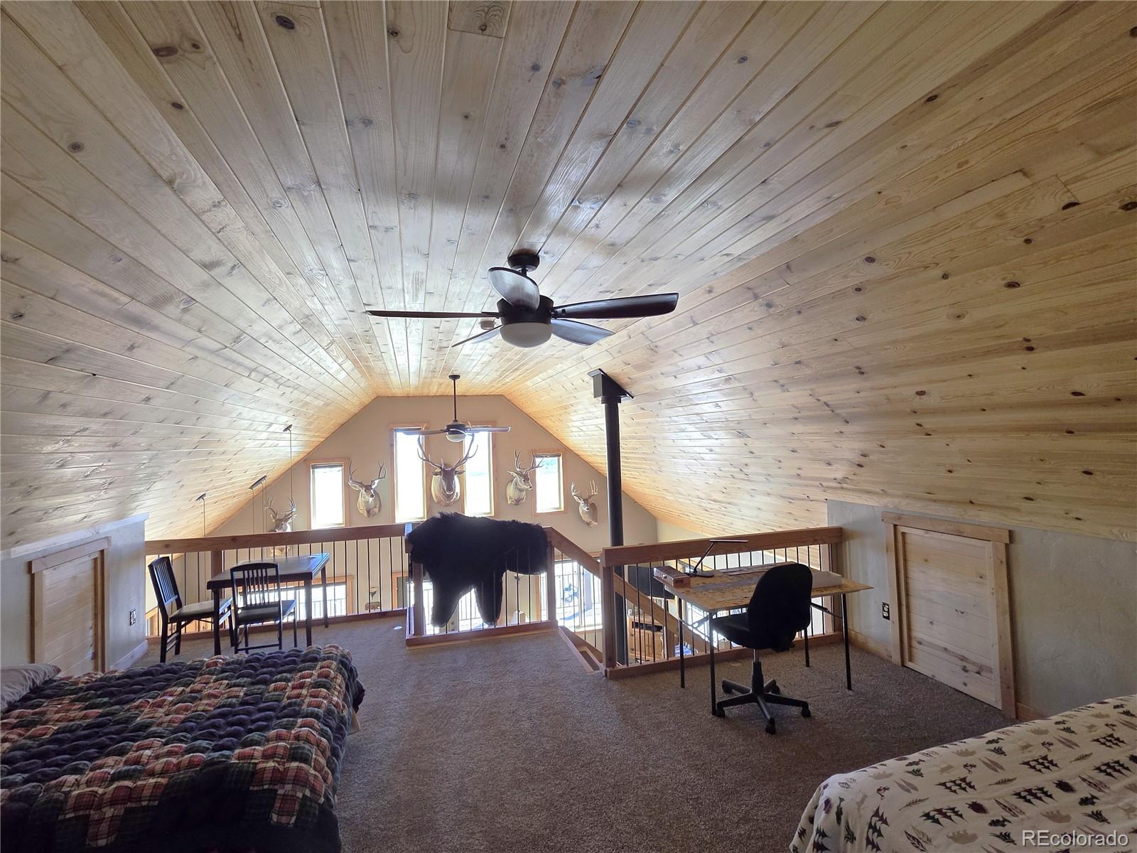 MLS Image #9 for 1007  hereford drive,hartsel, Colorado