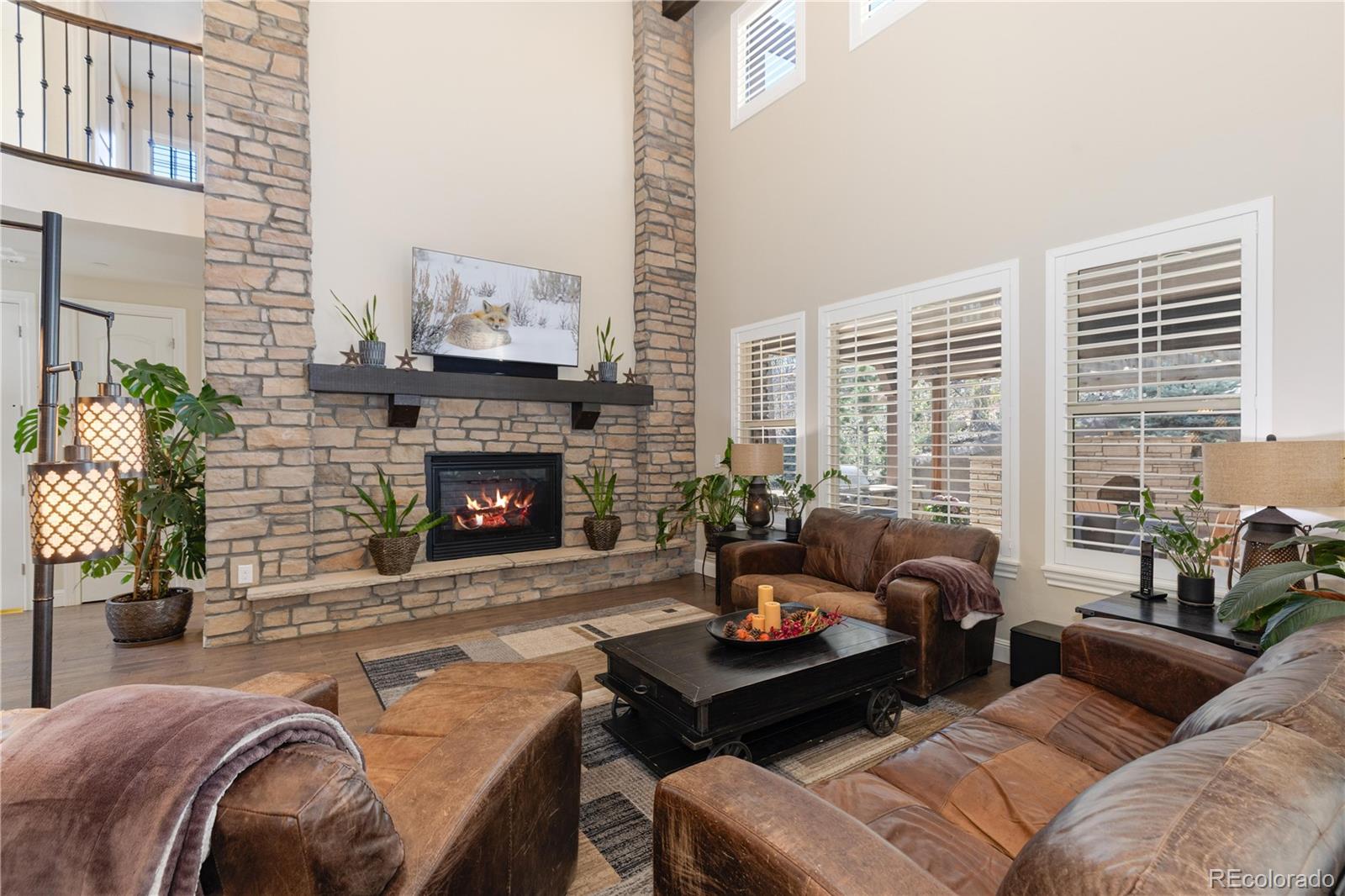 MLS Image #10 for 6842  northstar circle,castle rock, Colorado
