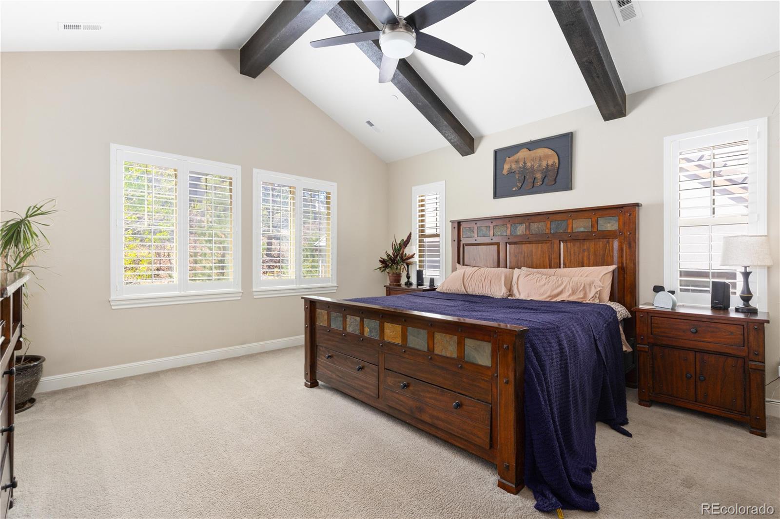 MLS Image #19 for 6842  northstar circle,castle rock, Colorado