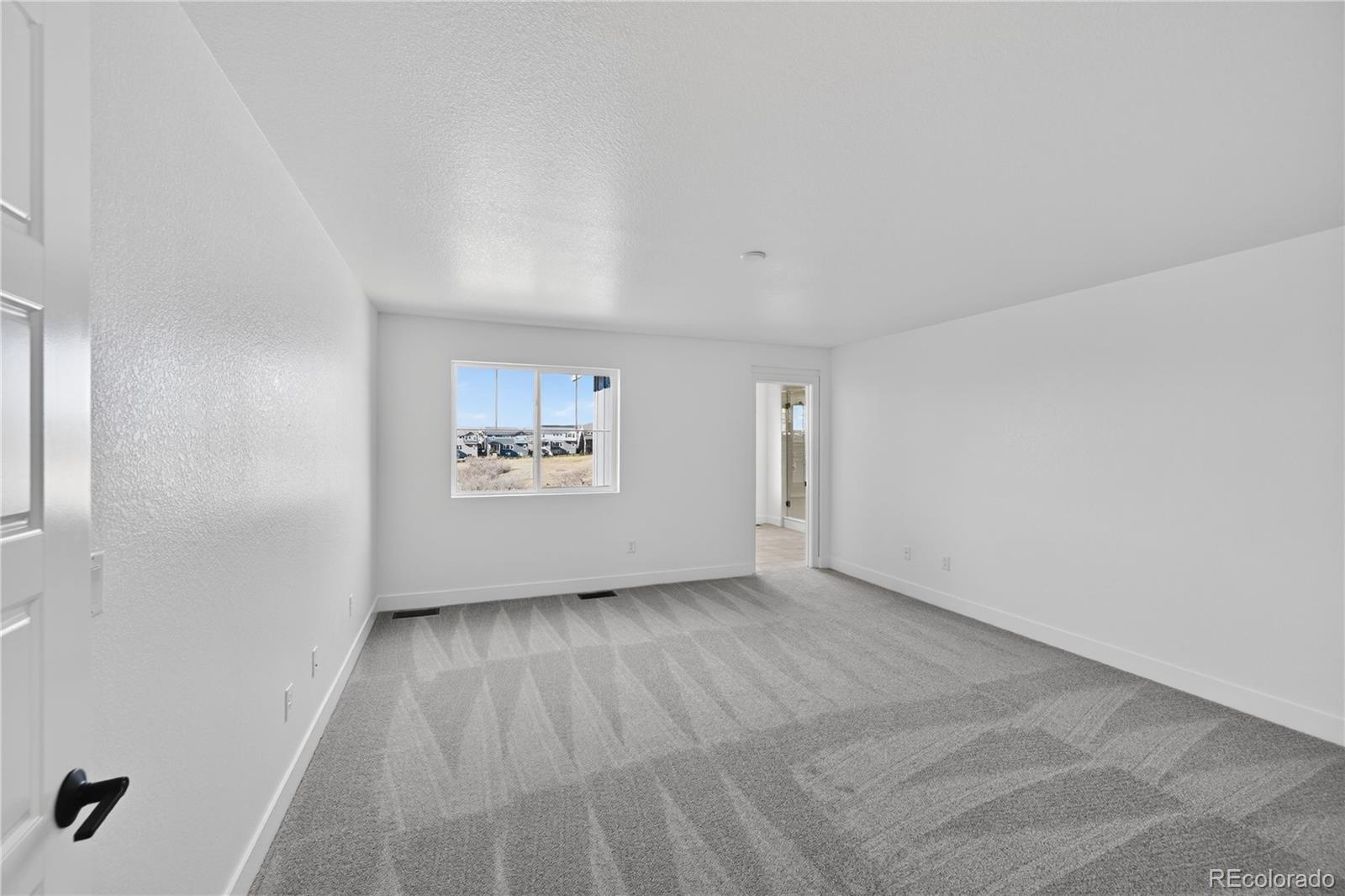MLS Image #12 for 3296  fervid street,castle rock, Colorado