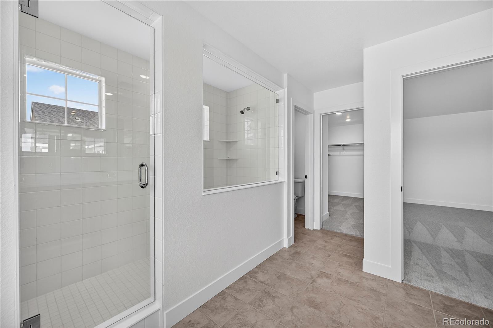 MLS Image #14 for 3296  fervid street,castle rock, Colorado
