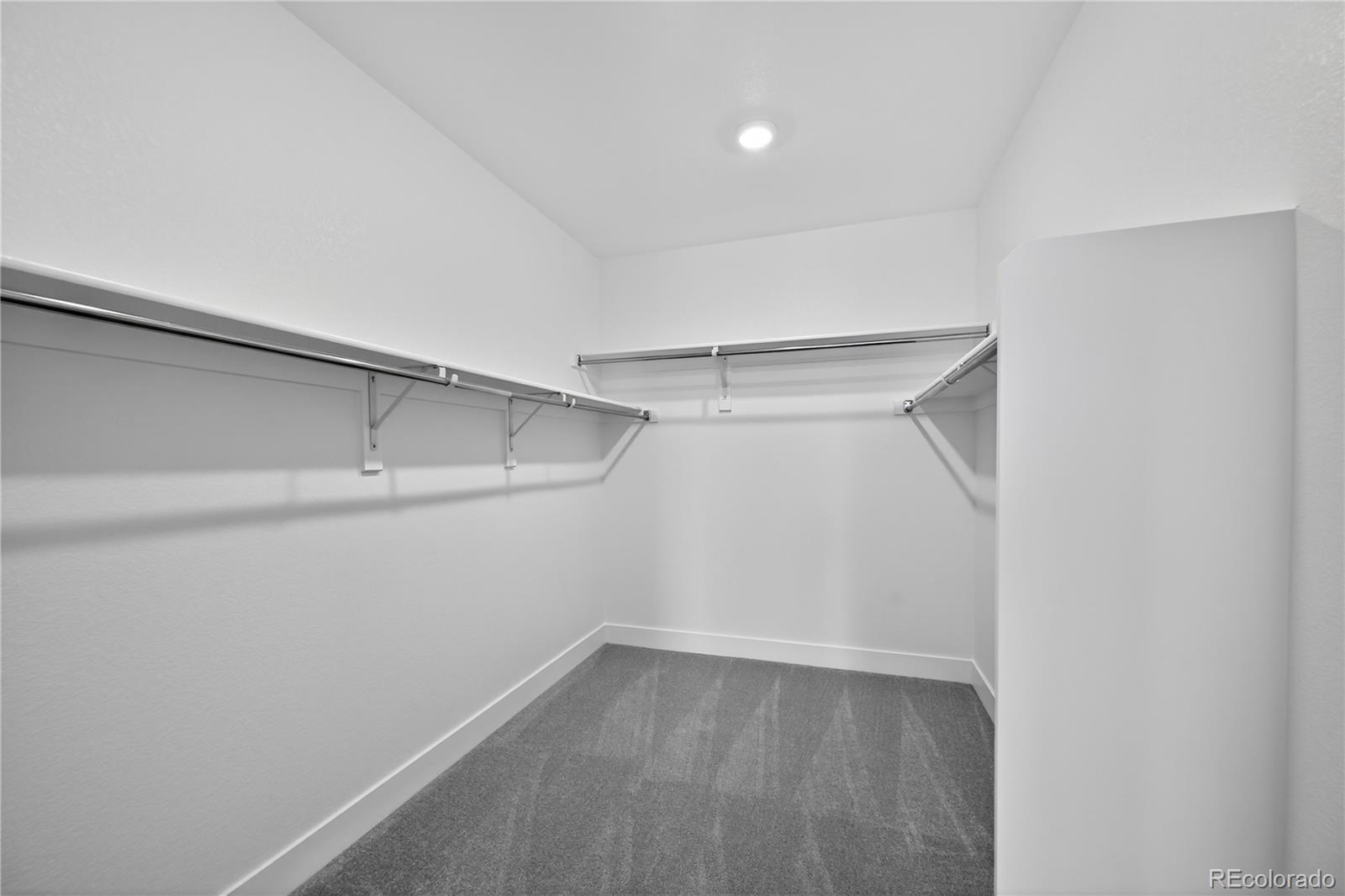 MLS Image #15 for 3296  fervid street,castle rock, Colorado