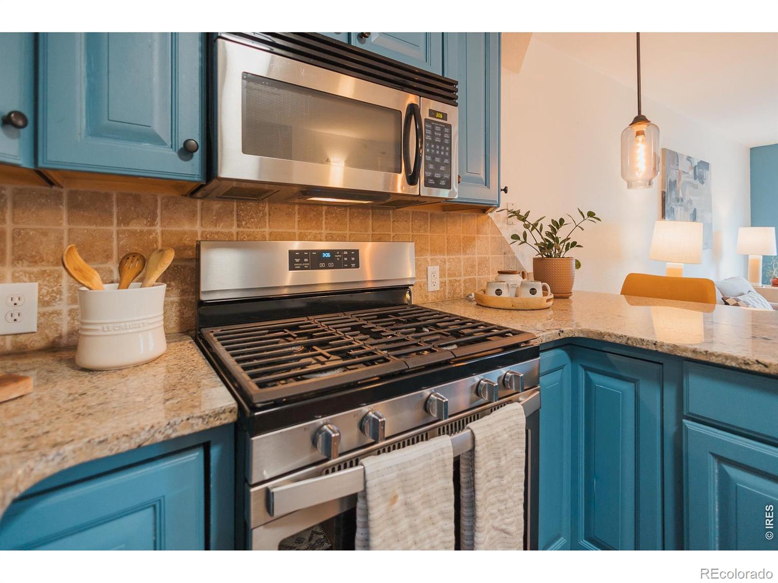 MLS Image #26 for 233 n meldrum street,fort collins, Colorado