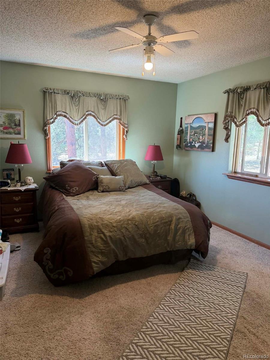 MLS Image #10 for 33623  smith road,pine, Colorado
