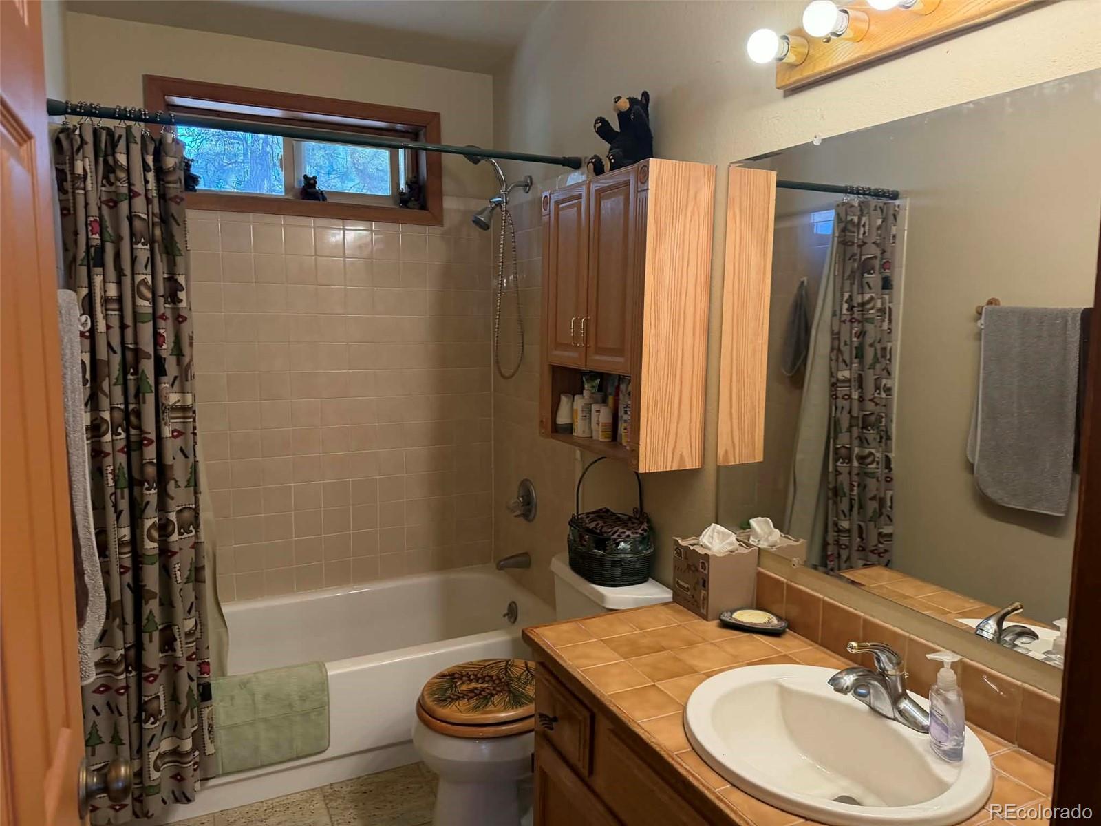 MLS Image #11 for 33623  smith road,pine, Colorado