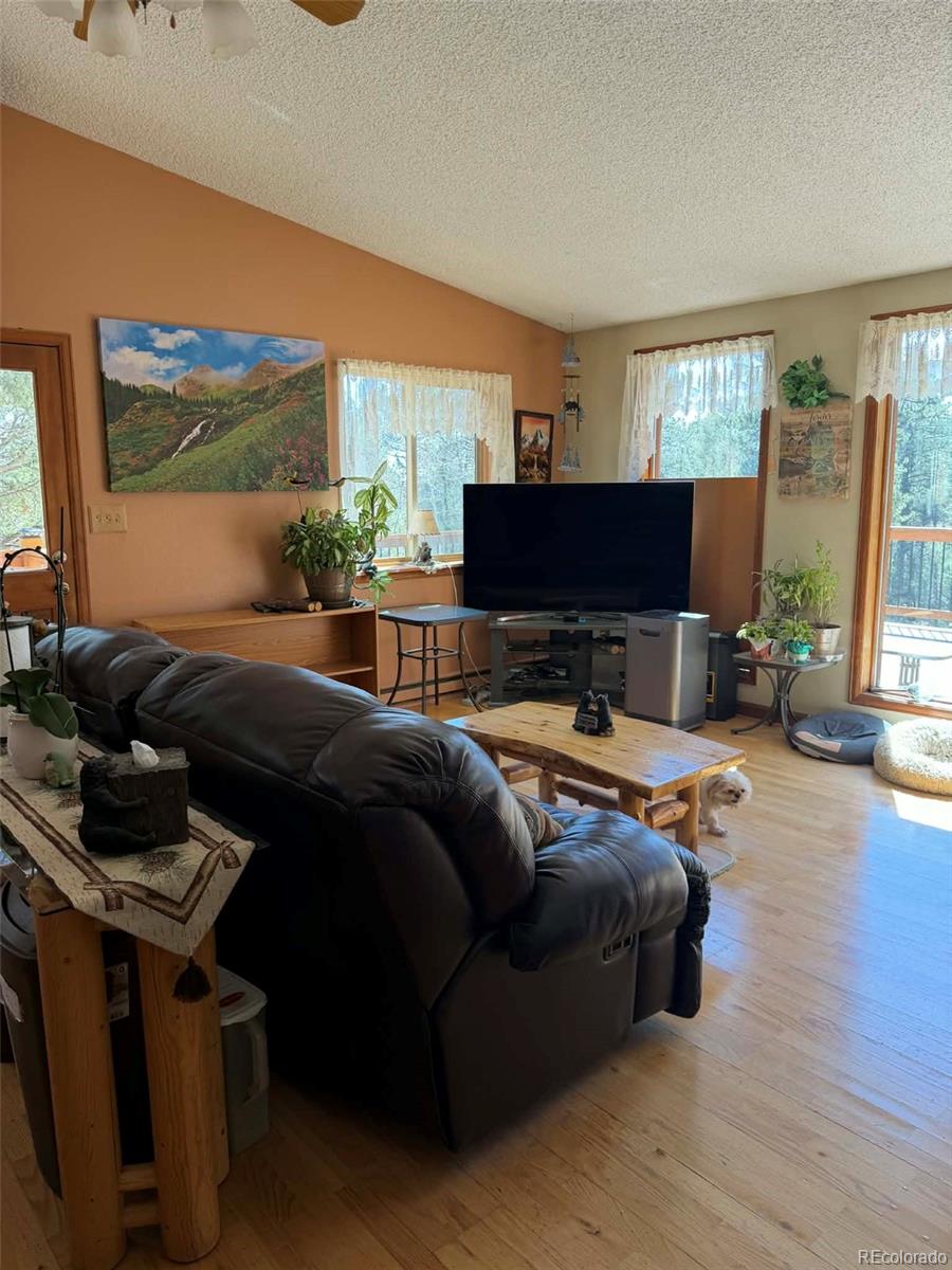 MLS Image #14 for 33623  smith road,pine, Colorado