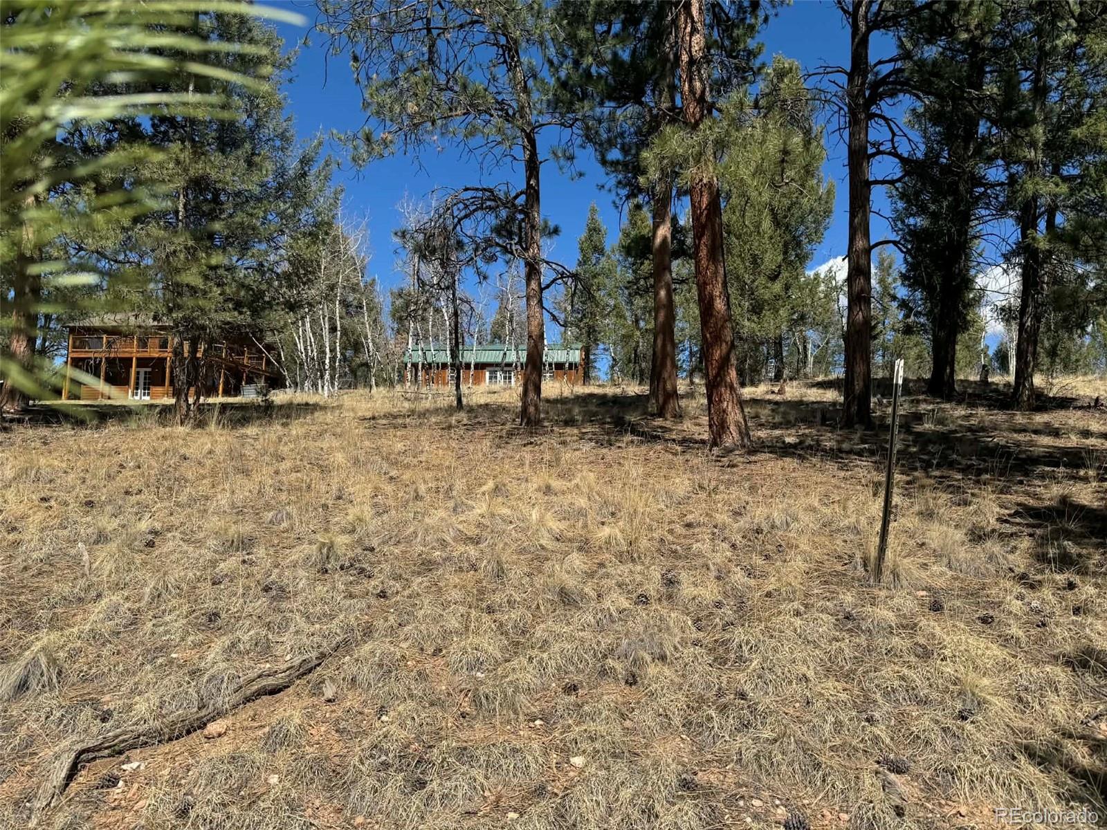 MLS Image #28 for 33623  smith road,pine, Colorado