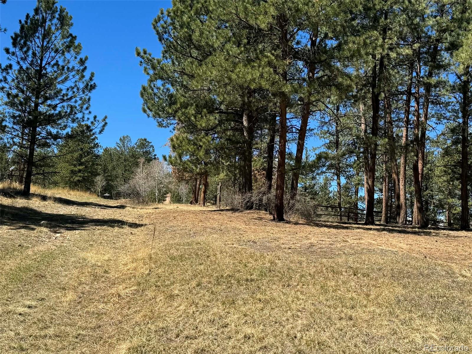 MLS Image #30 for 33623  smith road,pine, Colorado