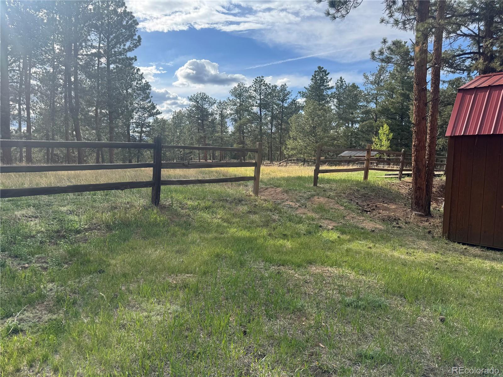 MLS Image #41 for 33623  smith road,pine, Colorado