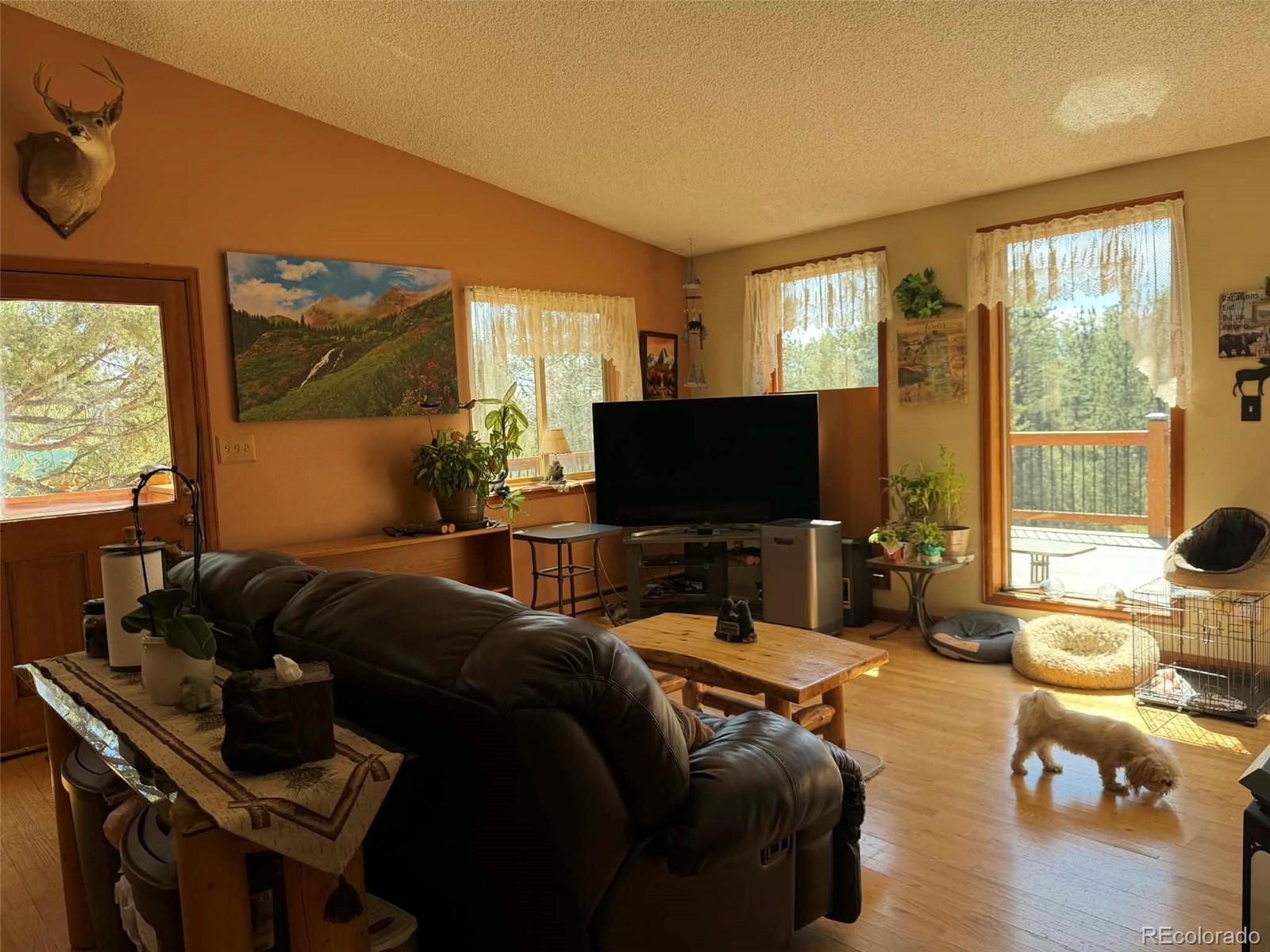 MLS Image #5 for 33623  smith road,pine, Colorado