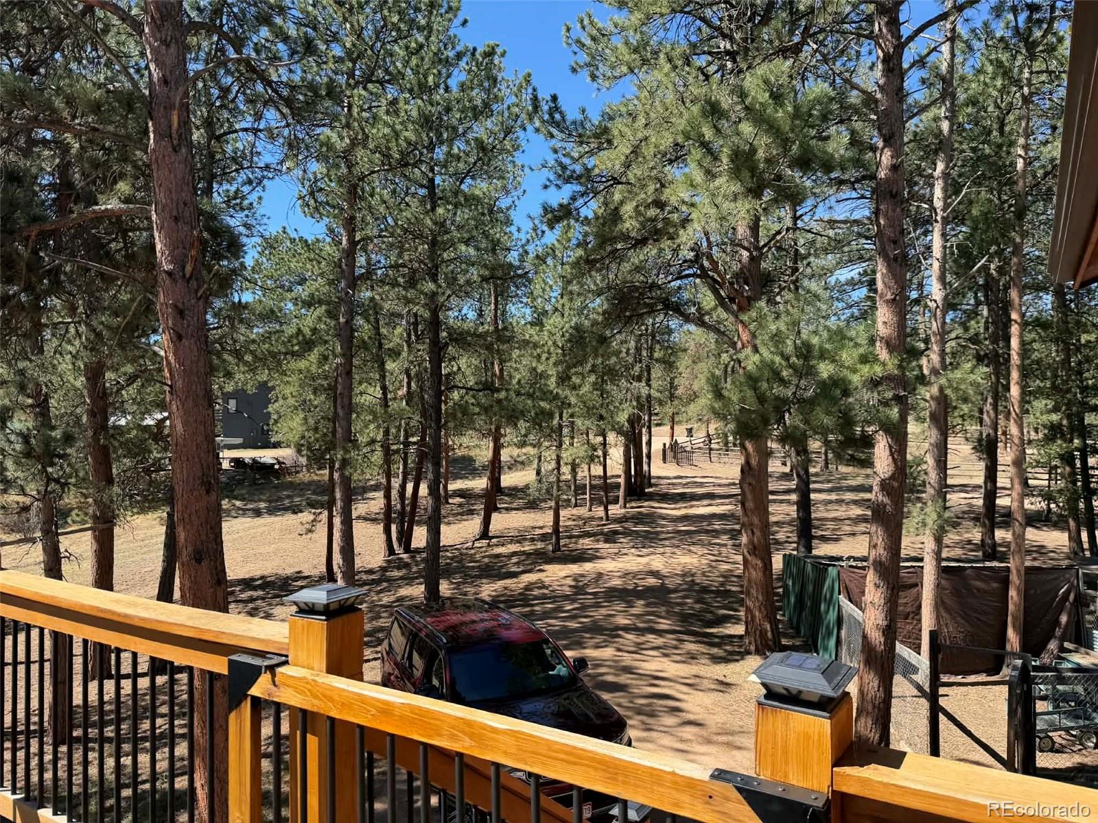 MLS Image #7 for 33623  smith road,pine, Colorado