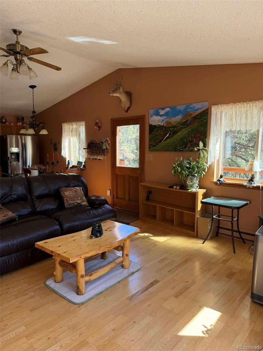 MLS Image #8 for 33623  smith road,pine, Colorado