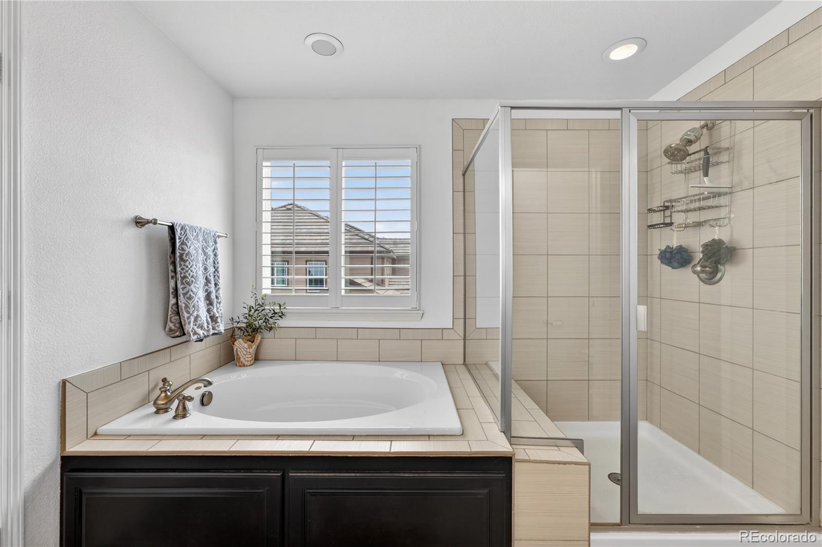 MLS Image #21 for 10621  worthington circle,parker, Colorado