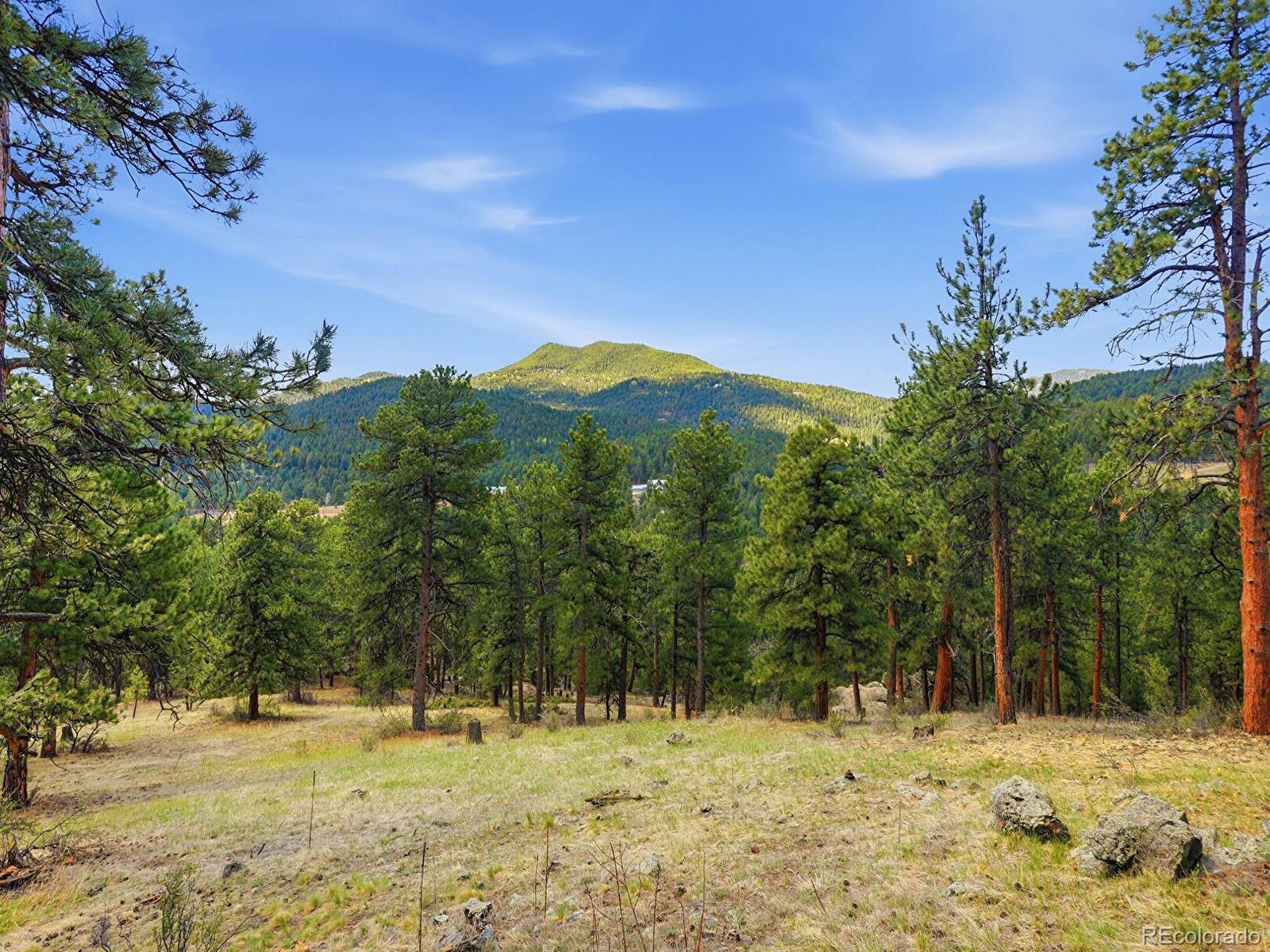 MLS Image #22 for 7062  peaceful hills road,morrison, Colorado