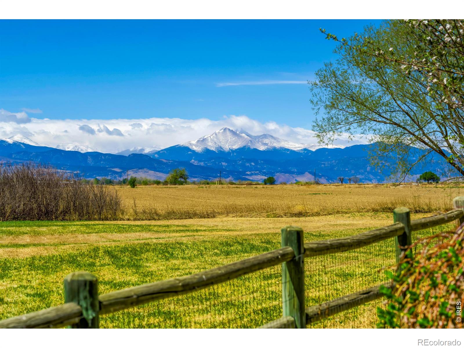 MLS Image #1 for 11693  montgomery circle,longmont, Colorado