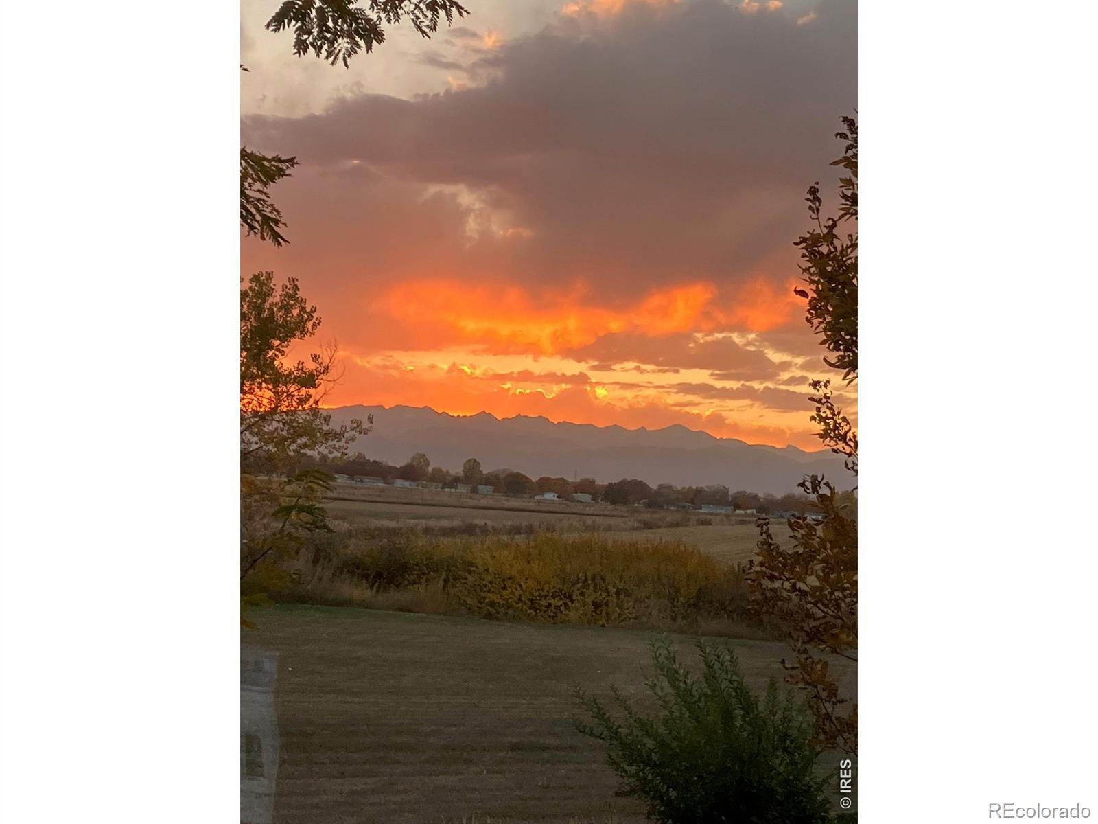 MLS Image #38 for 11693  montgomery circle,longmont, Colorado