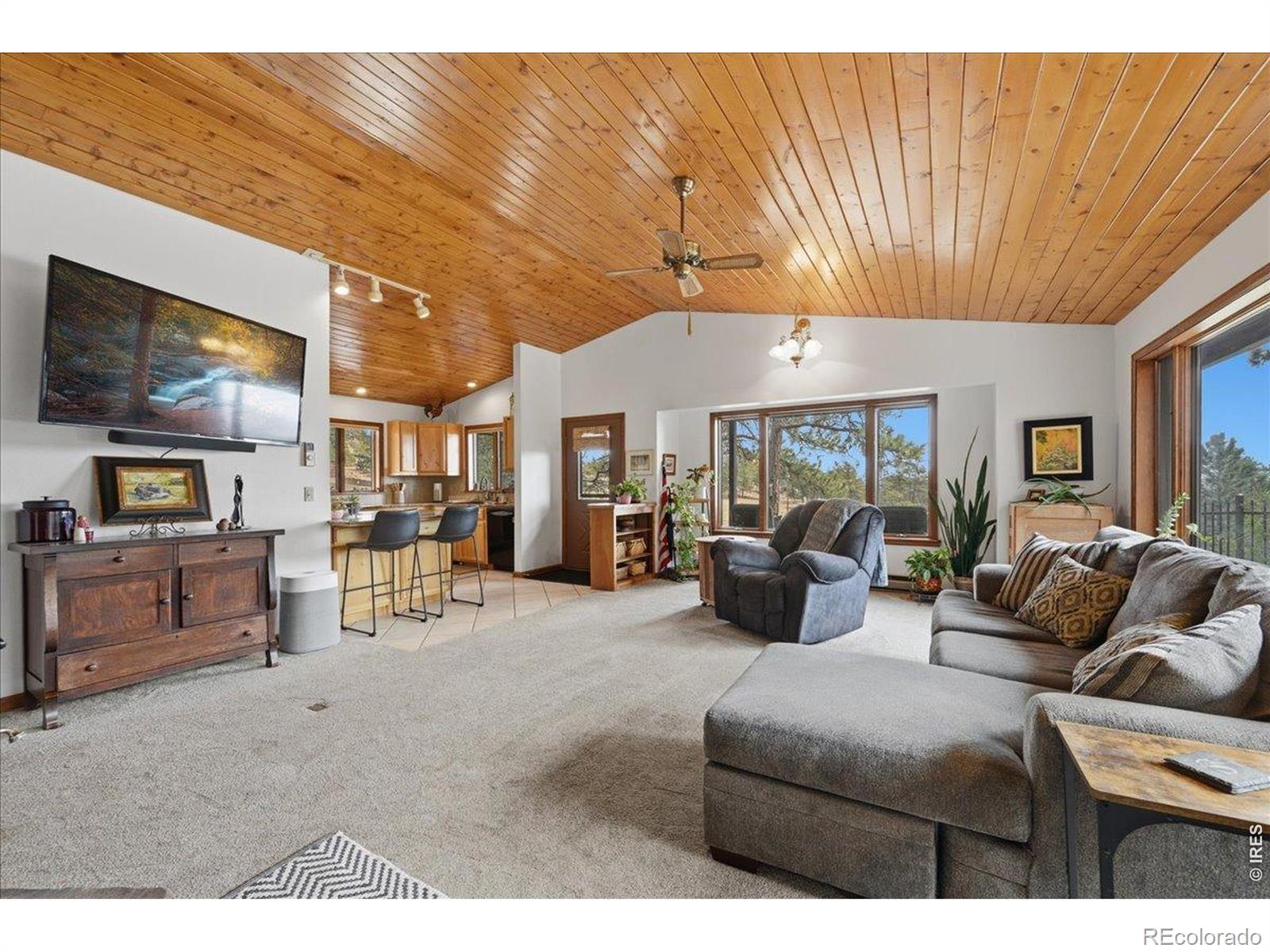 MLS Image #12 for 121  manhead mountain drive,livermore, Colorado