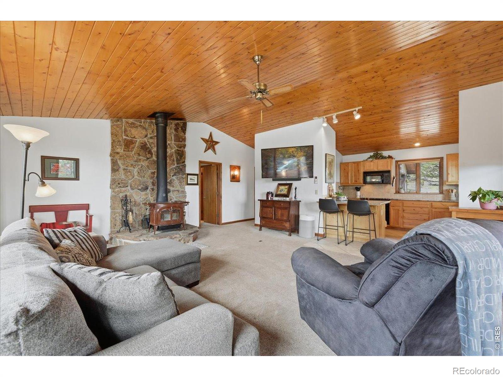 MLS Image #13 for 121  manhead mountain drive,livermore, Colorado