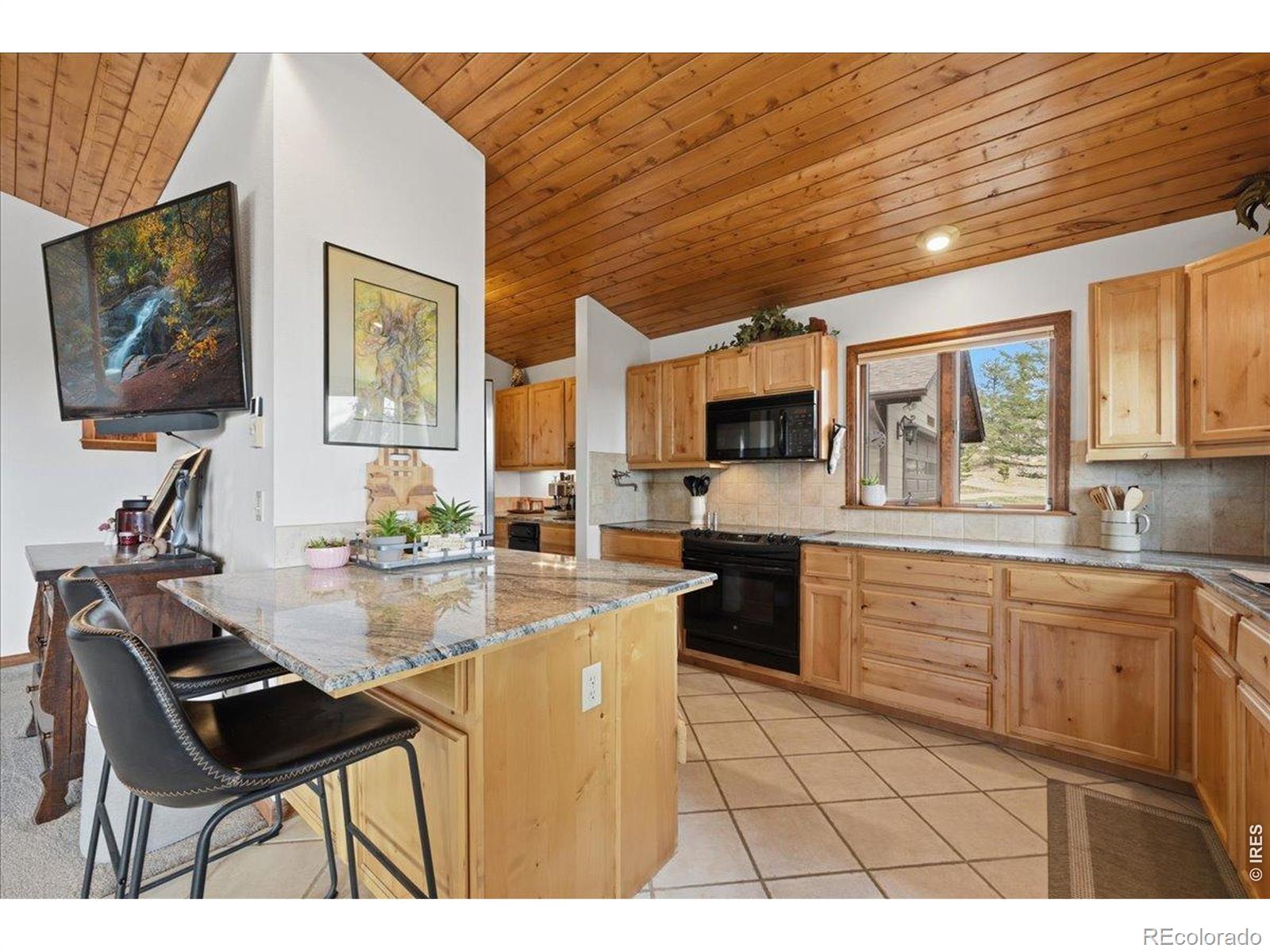 MLS Image #14 for 121  manhead mountain drive,livermore, Colorado