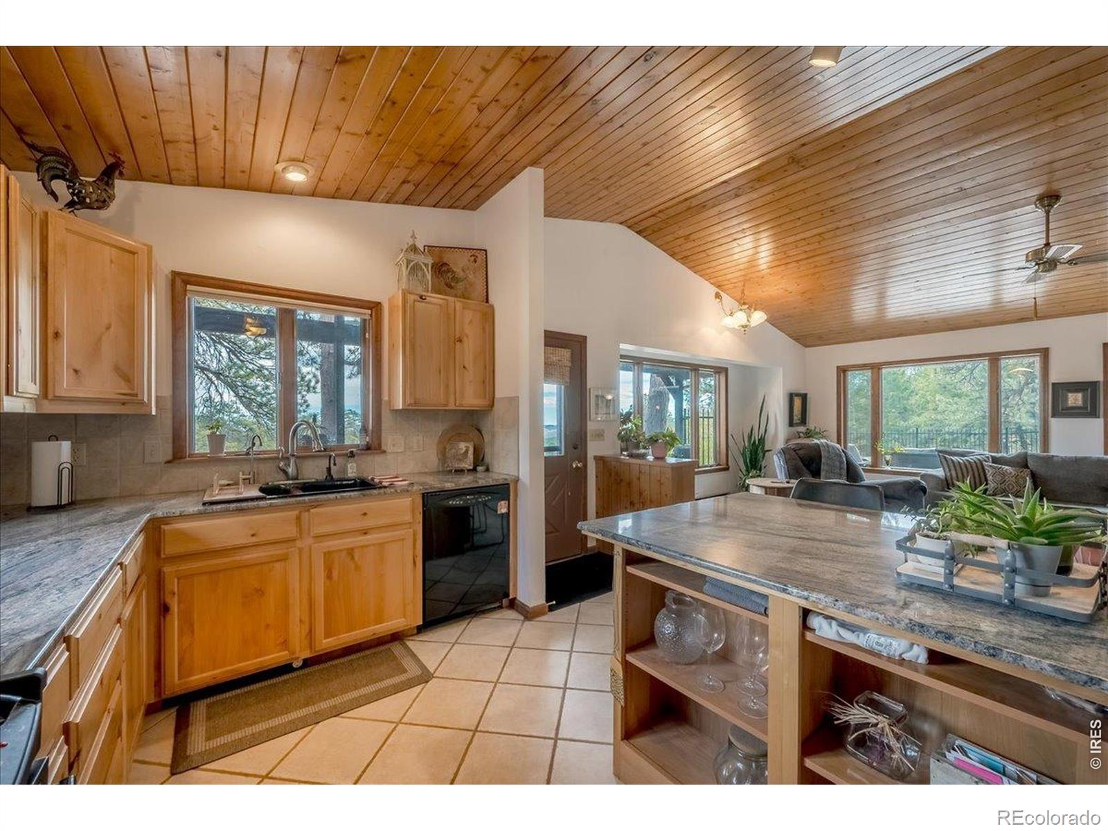MLS Image #19 for 121  manhead mountain drive,livermore, Colorado