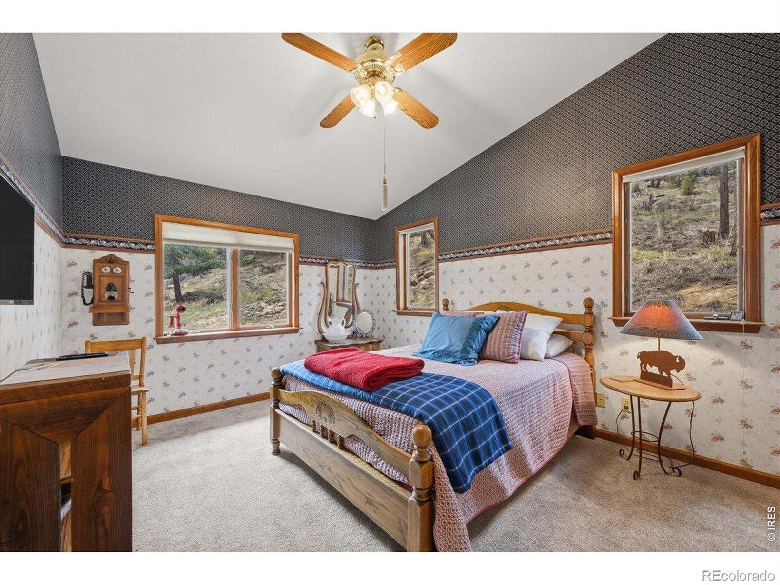 MLS Image #32 for 121  manhead mountain drive,livermore, Colorado