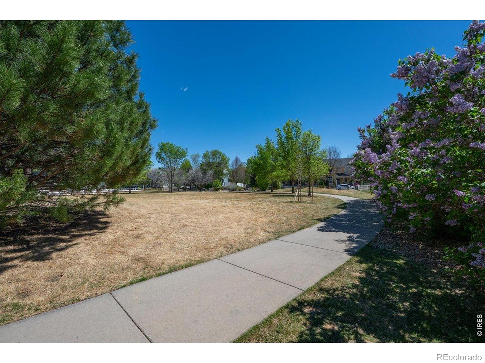 MLS Image #37 for 4126  independence drive,loveland, Colorado