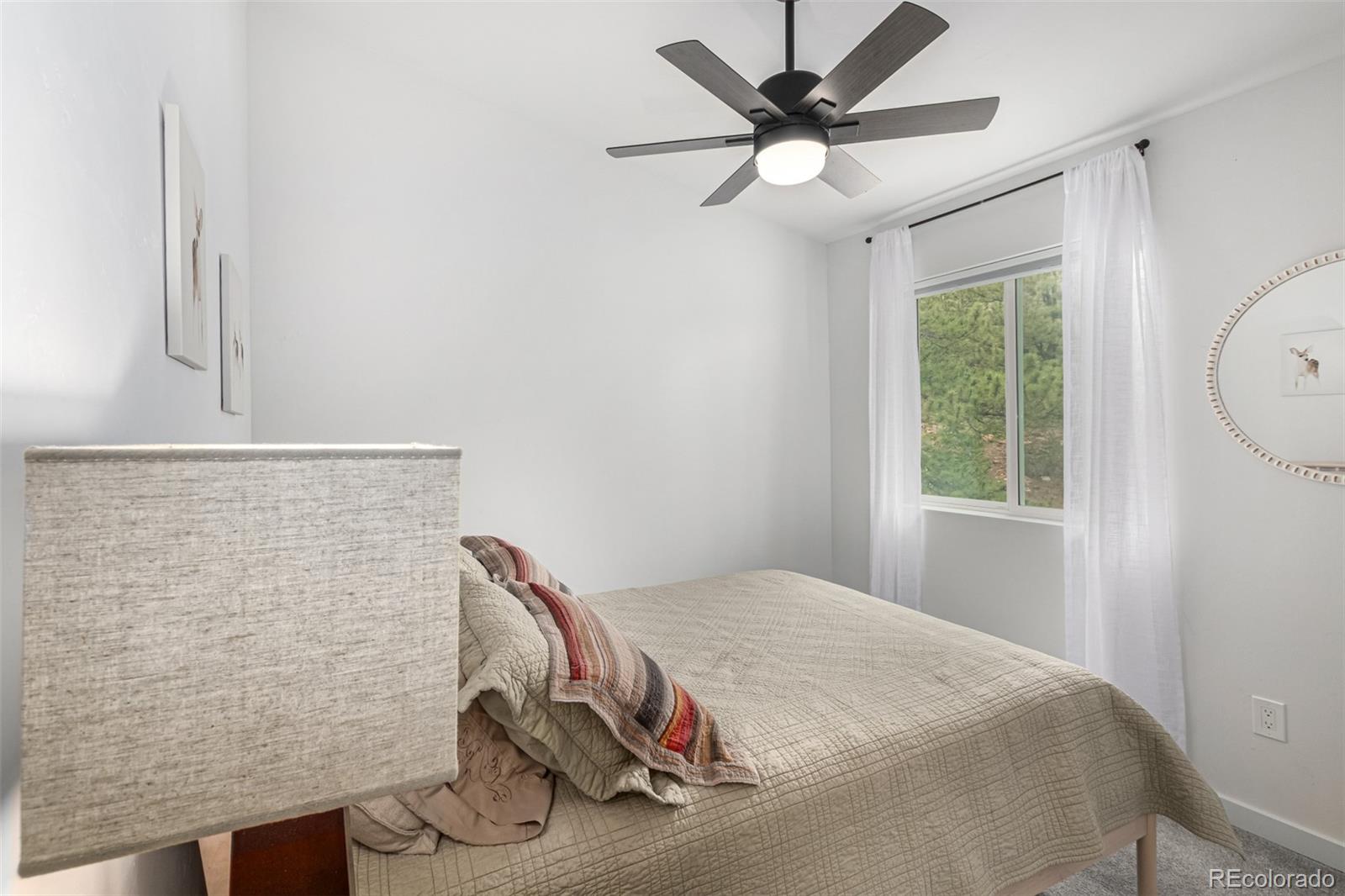 MLS Image #24 for 344  redhill road,fairplay, Colorado