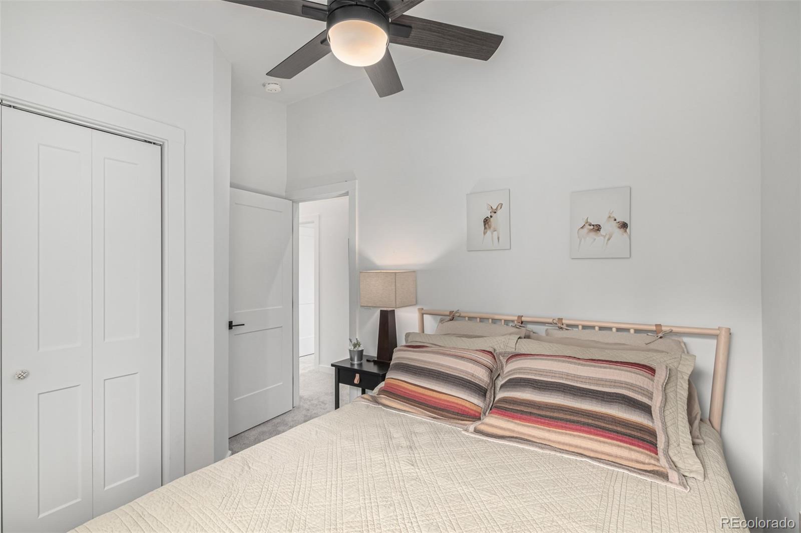 MLS Image #25 for 344  redhill road,fairplay, Colorado