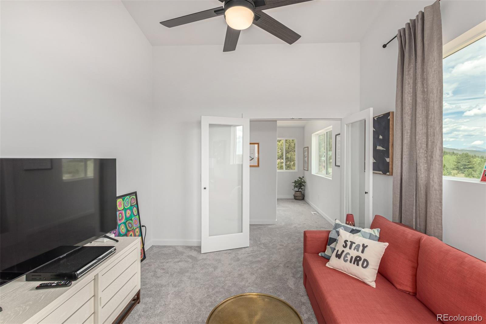 MLS Image #31 for 344  redhill road,fairplay, Colorado