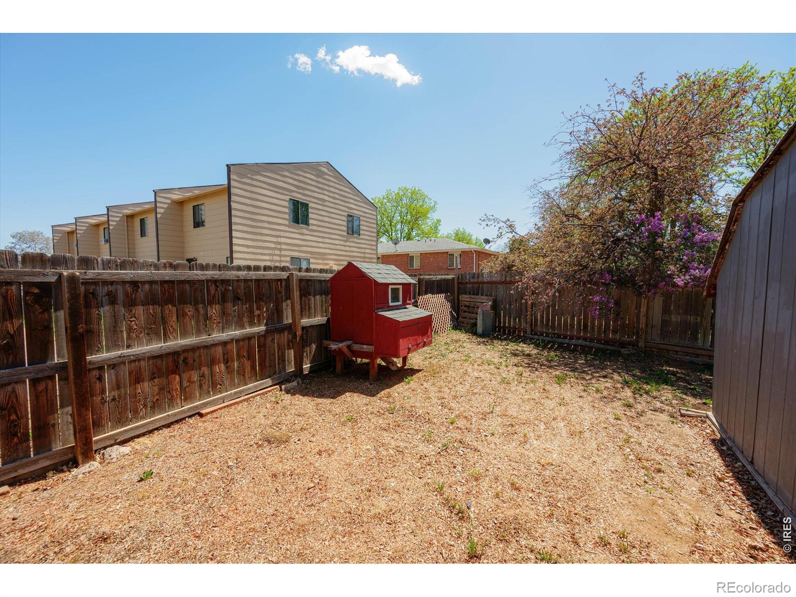MLS Image #41 for 811  table mountain court,windsor, Colorado