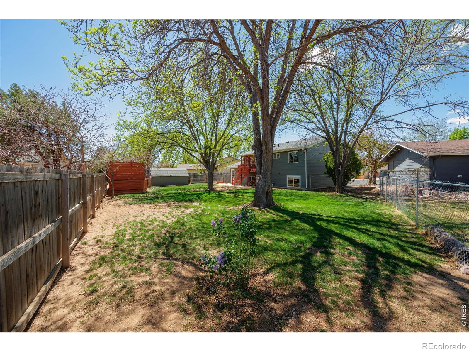 MLS Image #46 for 811  table mountain court,windsor, Colorado