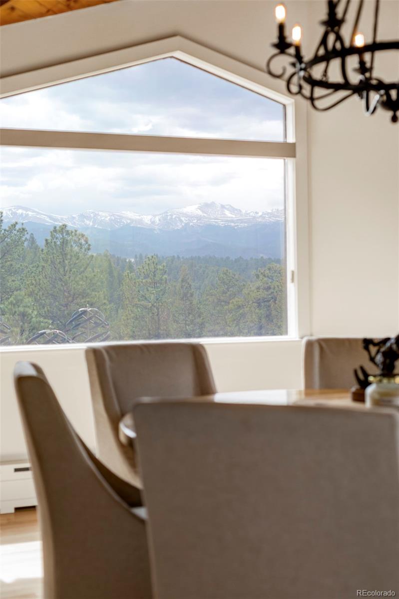 MLS Image #10 for 261  whiskey jay hill road,evergreen, Colorado