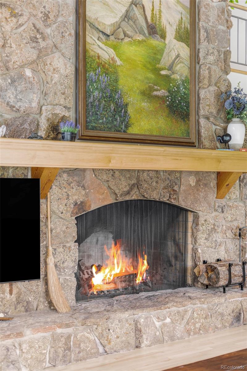 MLS Image #6 for 261  whiskey jay hill road,evergreen, Colorado