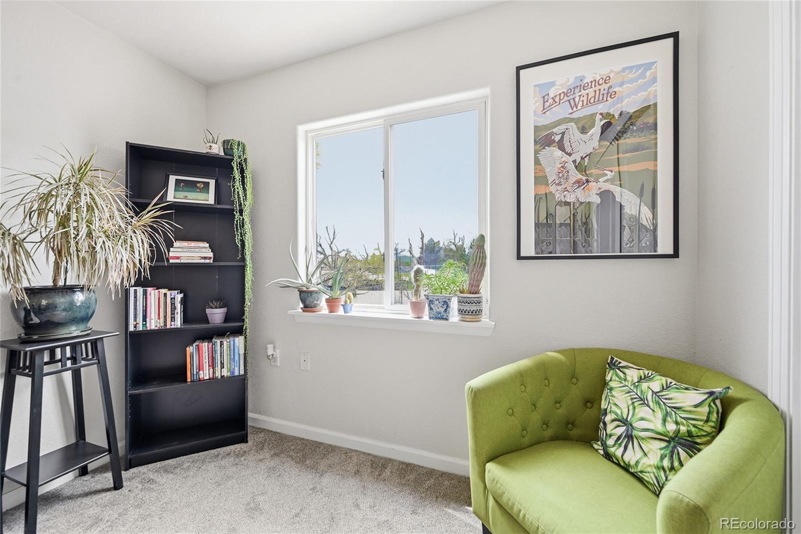 MLS Image #21 for 7233  meade street,westminster, Colorado